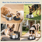 304 Stainless Steel Dog Bowls, Heavy Duty Dog Food Bowl with Extra Strong Non-Slip Mat, Thick Metal Base Water Bowl with Lick Mat for Puppies & Cats, Indoor/Outdoor (8.5 oz)