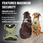 Doggie Design Venture Paw No Pull Dog Harness - Simple Adjustable Puppy Harness - Anti Pull Dog Collar for Walks and Outdoor Adventures - Aspen, XL