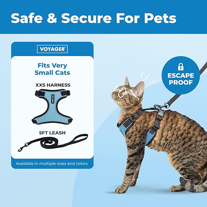 Voyager Escape-Proof Step-in Lock Cat Harness & 5ft Neoprene-Handle Leash Set All-Weather Mesh with Reflective Stitching for Small to Large Cats by Best Pet Supplies, Black Trim-Baby Blue (327), XXS
