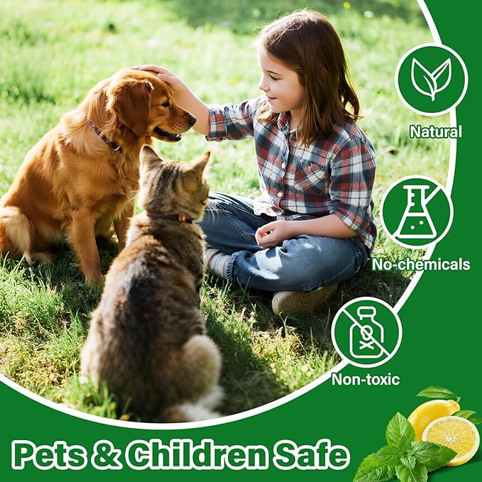 Dog Repellent for Yard, 36 Pcs Natural Peppermint Oil Dog Cat Deterrent Ball Outdoor Indoor Preventing Dogs from Peeing Scratch and Chew, Keep Dogs Out of Lawn Garden