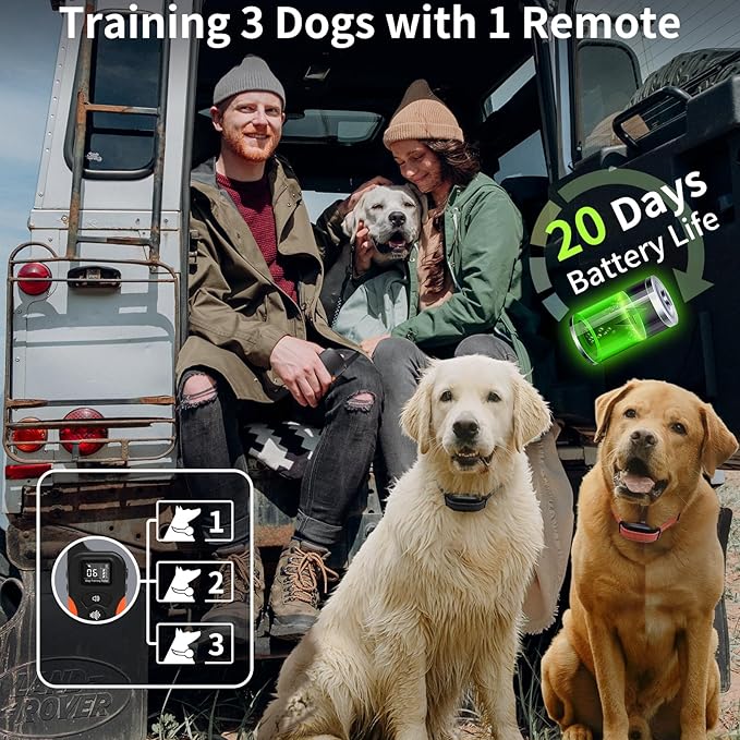 PaiPaitek Dog Vibration Collar with Controller No Shock, 3300ft Waterproof Training Dog Collar Beep and Vibrate Only, Security Lock & Rechargeable Vibrating Collar for Dogs 5-120 lbs - No Prongs