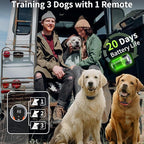 PaiPaitek Dog Vibration Collar with Controller No Shock, 3300ft Waterproof Training Dog Collar Beep and Vibrate Only, Security Lock & Rechargeable Vibrating Collar for Dogs 5-120 lbs - No Prongs