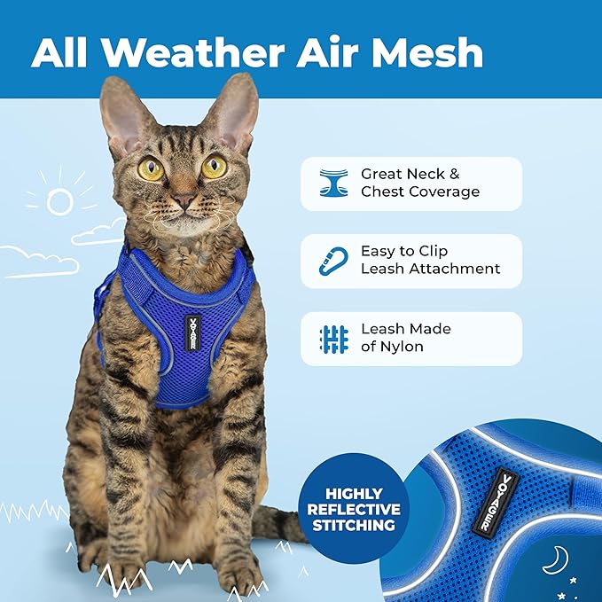 Voyager Escape-Proof Step-in Lock Cat Harness & 5ft Neoprene-Handle Leash Set All-Weather Mesh with Reflective Stitching for Small to Large Cats by Best Pet Supplies, Royal Blue (327), M