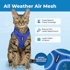 Voyager Escape-Proof Step-in Lock Cat Harness & 5ft Neoprene-Handle Leash Set All-Weather Mesh with Reflective Stitching for Small to Large Cats by Best Pet Supplies, Royal Blue (327), XXXS