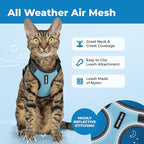 Voyager Escape-Proof Step-in Lock Cat Harness & 5ft Neoprene-Handle Leash Set All-Weather Mesh with Reflective Stitching for Small to Large Cats by Best Pet Supplies, Black Trim-Baby Blue (327), XXS