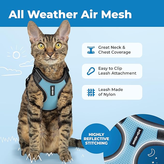 Voyager Escape-Proof Step-in Lock Cat Harness & 5ft Neoprene-Handle Leash Set All-Weather Mesh with Reflective Stitching for Small to Large Cats by Best Pet Supplies, Black Trim-Baby Blue (327), XXS