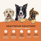 Canidae All Life Stages Real Chicken & Potato Recipe – High Protein and Grain-Free Premium Dry Dog Food for All Ages, Breeds, and Sizes– 4 lbs.