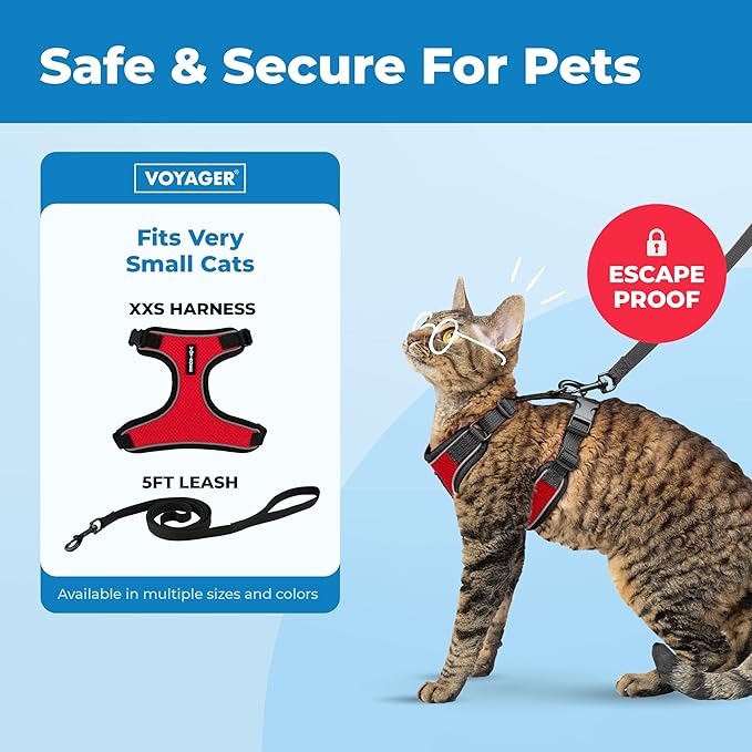 Voyager Escape-Proof Step-in Lock Cat Harness & 5ft Neoprene-Handle Leash Set All-Weather Mesh with Reflective Stitching for Small to Large Cats by Best Pet Supplies, Black Trim-Red (327), XXS