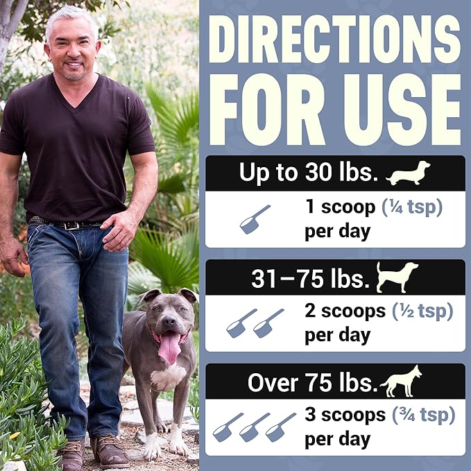 Better Dog Supplements Calm Surrender by Cesar Millan – Natural Dog Calming Powder for Stress, Anxiety, Grooming, Travel & Thunderstorms – Catnip, Chamomile & Valerian – 4oz, (60-Day Supply)