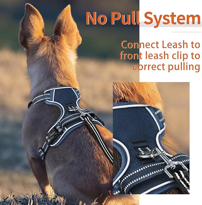 HEELE Dog Harness for Small Dogs No Pull Dog Vest Harness for Small Dog with Soft Padded Handle Reflective for Outdoor Training, Royal Blue, S