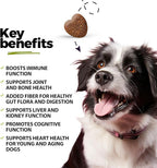 ANP Super Multi-Vitamin, Natural No Animal Proteins, 60 Soft Chews for Dog Gut Health and Immune System, CoQ10, Probiotics 5M CFUs and Glucosamine