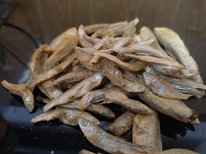 Minnows - 8.5 oz Freeze Dried - 100% Natural Premium Cat & Dog Treat