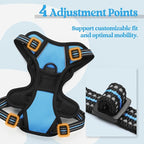 rabbitgoo Dog Harness No Pull with 2 Leash Clips, Adjustable Soft Padded, Reflective Oxford No Choke Pet Vest with Easy Control Handle for Puppy, Blue, XS