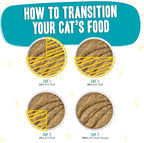 Weruva B.F.F. Play - Best Feline Friend Paté Lovers, Aw Yeah!, Chicken & Turkey Topsy Turvy with Chicken & Turkey, 2.8oz Can (Pack of 12)