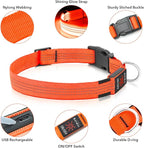 Illumifun USB Rechargeable LED Dog Collar, Light Up Dog Collar for Small Dogs, Reflective Adjustable Safety Dog Collar Lights for Night Walking (OrangeⅢ, Small)