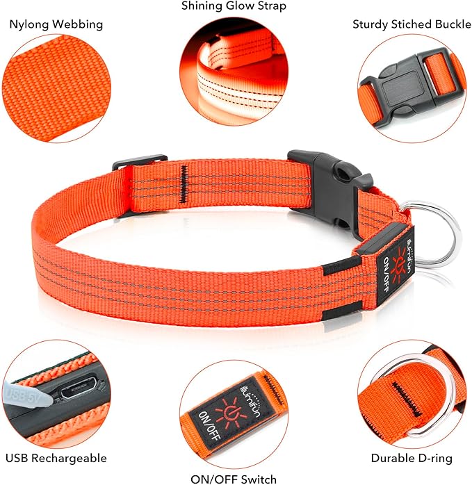 Illumifun USB Rechargeable LED Dog Collar, Light Up Dog Collar for Small Dogs, Reflective Adjustable Safety Dog Collar Lights for Night Walking (OrangeⅢ, Small)