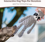 SHARLOVY No Stuffing Dog Toys 5 Pack, Crinkle Interactive Dogs Toy for Boredom, Puppy Toys for Teething to Keep Them Busy, Cute Squeaky Dogs Toy for Small, Medium, and Large Breed