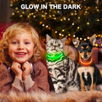 BSEEN Light Up Dog Collar - Rainproof LED Dog Collar Rechargeable - TPU Cuttable Glowing Pet Collar for Small Puppies& Cats, Safety Dog Lights for Night Walking& Camping (XS- Orange 40cm)
