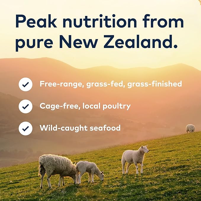 ZIWI Peak Canned Wet Cat Food – All Natural, High Protein, Grain Free, Limited Ingredient, with Superfoods (Beef), 6.5 Ounce (Pack of 12)