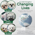 Nature's Protection Hypoallergenic Small Breed Dry Dog Food - High Protein, Grain Free Tear Stain Formula - Dog Kibble for Sensitive Stomachs for Adult Light Fur Dogs (Superior Care - Insect, 22 lb)