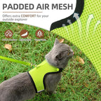 PUPTECK Soft Mesh Cat Vest Harness and Leash Set Puppy Padded Pet Harnesses Escape Proof for Cats Small Dogs Rabbits Bunny, Fluorescent Green XL