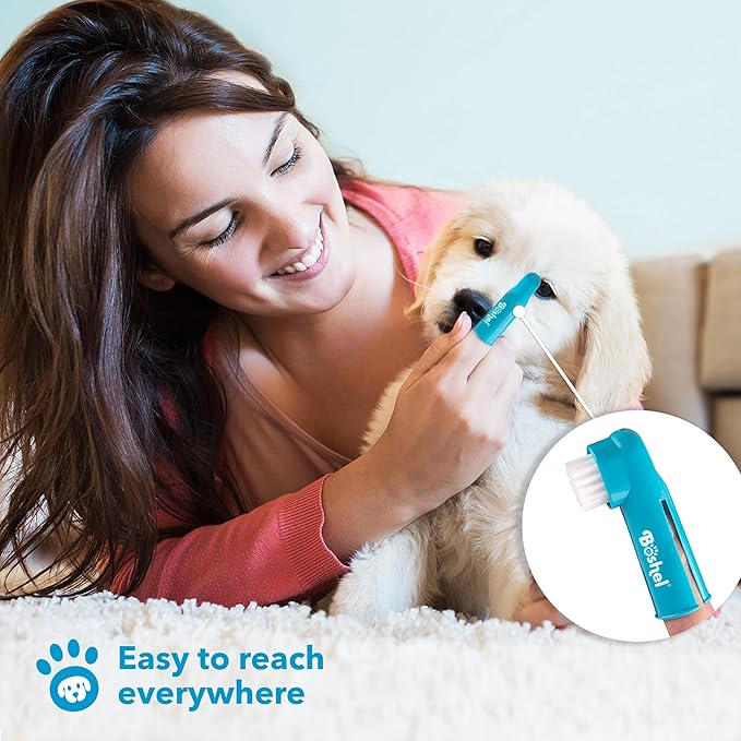 Boshel 3 Pc Dog Toothbrush Kit - 2 Dog Tooth Brush + Small Dogs Finger Toothbrush - Pet Tooth Brush for Dogs - Puppy Tooth Brushes for Small Breed & Large, Best Tooth Brushing Kit