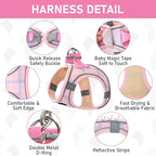GAMUDA Small Dog Harness Collar and Leash Set, Step in No Chock No Pull Soft Mesh Adjustable Dog Vest Harnesses Plaid Reflective for Dogs Puppy Cats Kitten Rabbit (Pink, L)