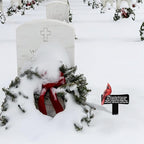 11.8 inch Cardinals Memorial Grave Markers Metal Cemetery Decorations Loss of Dad Mom Spouse Lover Relatives Family Members Garden Stakes Gravesite Plaque Waterproof Outdoors Lawn Yard Signs