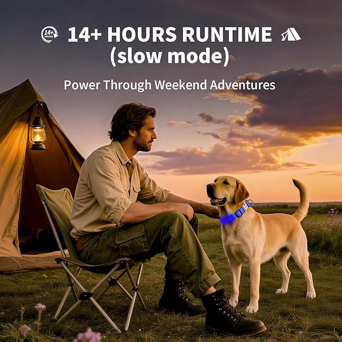 LED Dog Collar with Metal Buckle - USB Rechargeable Glow Collar for Dogs, Waterproof Light Up Dog Collar w/Reflective Strips - Adjustable Night Safety Collars by PetIsay(Blue,Medium)