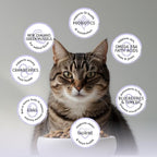 Blackwood Bounty Dry Cat Food, Cod & Carp Recipe for All Life Stages, 4.5 Pound Bag, High Protein, Grain Free