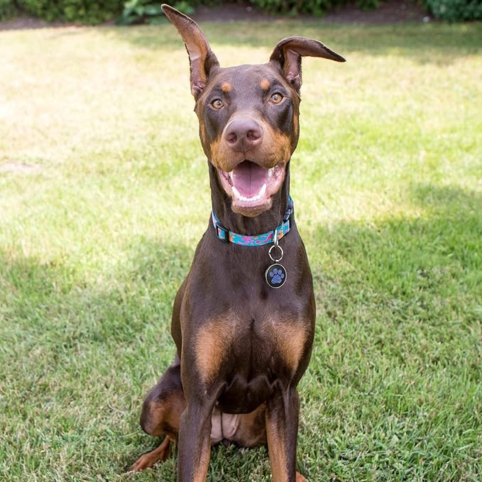 QR Dog Tags Personalized for Pets Custom Dog Tags Dog Name Tag QR Code Pet Tags Smart Pet ID Tags Free Online & Scan QR Receive Instant Pet Location Alert Email