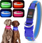 YFbrite Light up Dog Collar, USB Rechargeable LED Puppy Collar Super Bright Adjustable Glowing Dog Lights for Night Walking (Blue, Medium)