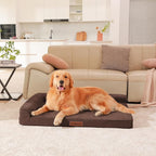 Orthopedic Dog Beds Large Sized Dog, 3 Inch Memory Foam Pet Bed for Medium and Large Dogs, Washable Removable Cover, Nonskid Bottom, Waterproof, 44x32 Inches XXL Brown Grey