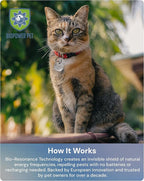 Natural Flea & Tick Repellent Collar Tag for Dogs & Cats – BioPower Pet Shield – Safe for Pets When Used as Directed – Lasts 1 Full Year - Regular Tag (1Pack)