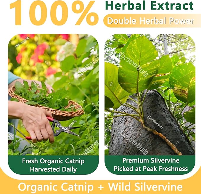 Organic Catnip & Silvervine Spray for Cats & Kittens - Extra Strength Calming Formula with Double Plant Power, Stress & Anxiety Relief, Renews Toys/Scratchers(2 Oz) (30ML)