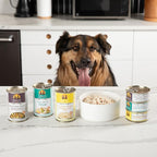 Weruva Classic Dog Food, Variety Pack, Baron's Batch, Wet Dog Food, 5.5oz Cans (Pack of 24)