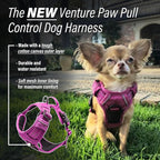 Doggie Design Venture Paw No Pull Dog Harness - Simple Adjustable Puppy Harness - Anti Pull Dog Collar for Walks and Outdoor Adventures - Wild Raspberry, XS