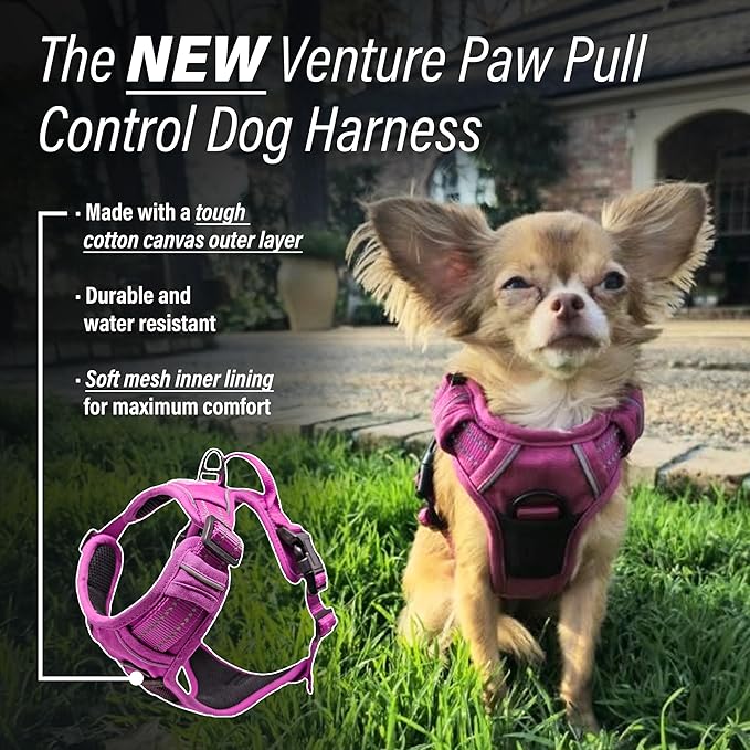 Doggie Design Venture Paw No Pull Dog Harness - Simple Adjustable Puppy Harness - Anti Pull Dog Collar for Walks and Outdoor Adventures - Wild Raspberry, XS