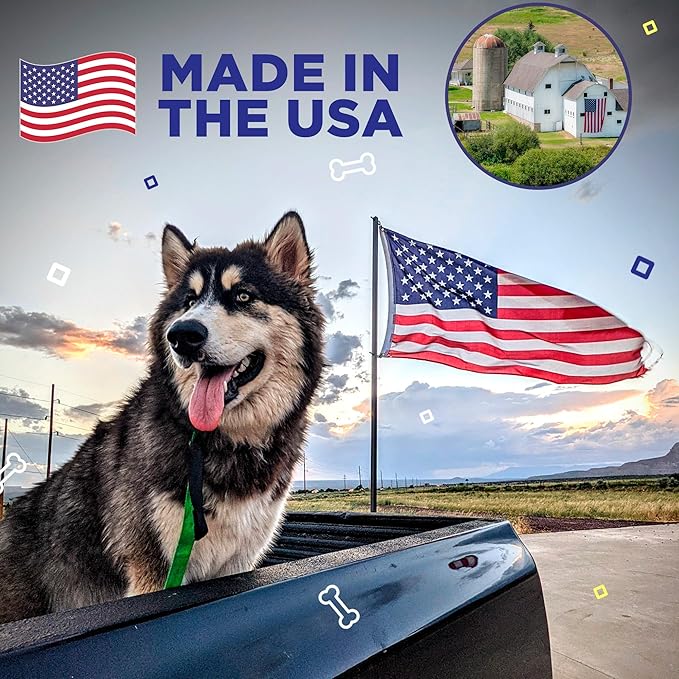 SnoutScreen Dog Paw Balm and All-Natural Dog Nose Balm for Dry, Cracked Skin, Dog Itching Skin Relief, Dog Sunscreen, Vet Recommended, Made in USA, Protects Against UVB and UVC Rays, 1 oz