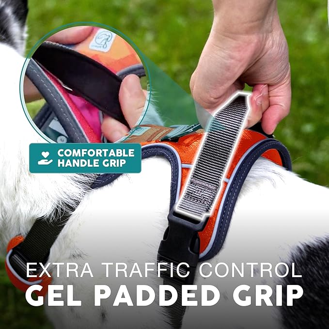Embark Adventure Dog Harness, Reflective Trim XL Dog Harness for Extra Large Dogs No Pull - Military Grade Nylon, 2 Leash Clips & Gel Lined Handle. Soft & Padded Puppy Dog Harnesses for Any Breed