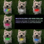 Light Up Dog Collar - Multicolor LED Dog Collar with 3 Glow Modes, Rechargeable Glow in The Dark Dog Collars for Small, Medium & Large Dogs, 1000 Ft Visibility, IPX7 Waterproof (Black, M)