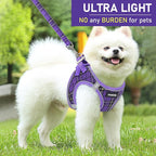 GAMUDA Small Dog Harness Collar and Leash Set, Step in No Chock No Pull Soft Mesh Adjustable Dog Vest Harnesses Plaid Reflective for Dogs Puppy Cats Kitten Rabbit (Purple, XXS)