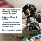 Original Snuggle Puppy Toys - Heartbeat Puppy for Dogs - Pet Anxiety Relief and Calming Aid - Comfort Dog Toys for Behavioral Training