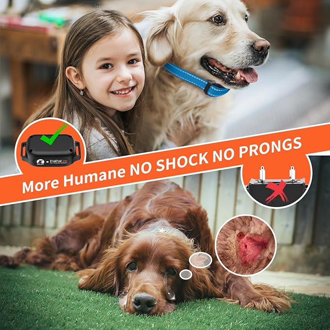 PaiPaitek No Shock Dog Training Collar with Remote 3300ft Range, Strong Vibrating Dog Collar Beep and Vibration Only, Waterproof Vibration Collar for Small Medium Large Dogs (5-120 lbs) - No Prongs