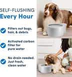 Always Full® 7" Pet Water Bowl and Bottle Pump Bundle, Self-Refilling, Clean Filtered Water, App-Enabled Hydration Monitoring, Easy Upgrade to Wall Unit, Cat and Dog Water Bowls