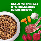 IAMS Proactive Health Minichunks Adult Dry Dog Food with Lamb & Rice, 15 lb. Bag