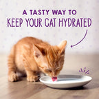 Stella & Chewy's Carnivore Cravings Purrfect Pate Cans – Grain Free, Protein Rich Wet Cat Food – Cage-Free Chicken & Salmon Kitten Recipe – (2.8 Ounce Cans, Case of 24)