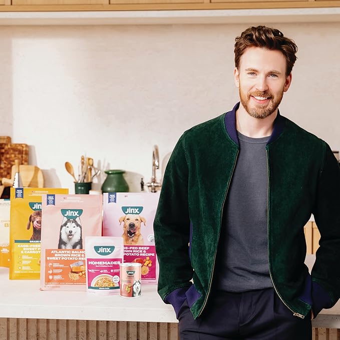 Jinx Premium Wet Dog Food Cans - Chicken & Vegetables Pate - Grain-Free Canned Dog Food Pate & Topper with Real Ingredients & No Fillers - All Life Stages, Breeds & Sizes - 12-Pack, 13 Oz