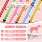 LED Light Up Dog Collar Rechargeable Waterproof, Glow in Dark Dog Collar, Lighted Dog Collars for Night Walking Charging USB, Safety for Small Medium Large Dogs (XL, Pink)