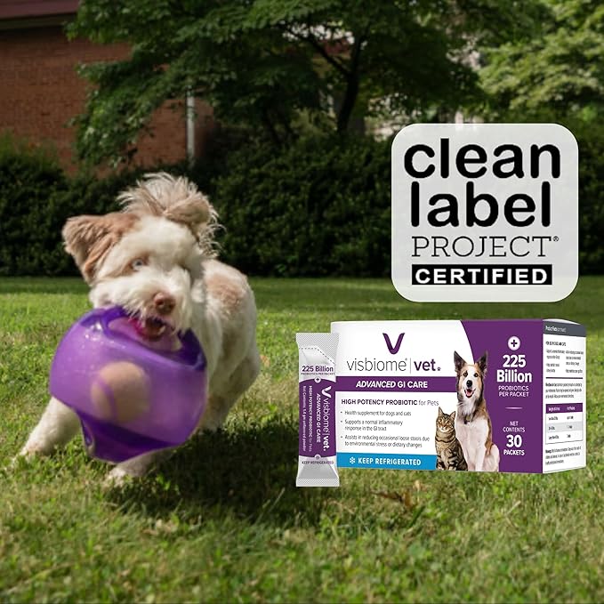 Visbiome® Vet Advanced GI Care High Potency Probiotic for Dogs & Cats – 225B CFU, 8-Strain Formula – Refrigerated, Veterinarian Recommended, Clean Label Certified – 60 Packets